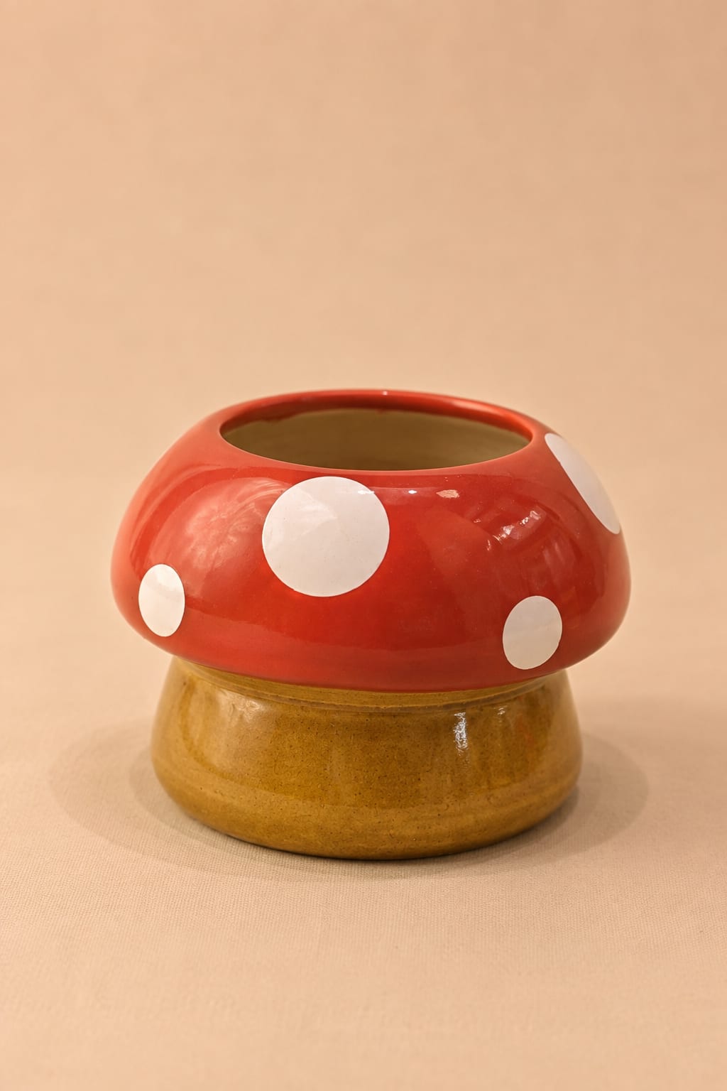 Merrycap Mushroom Planter