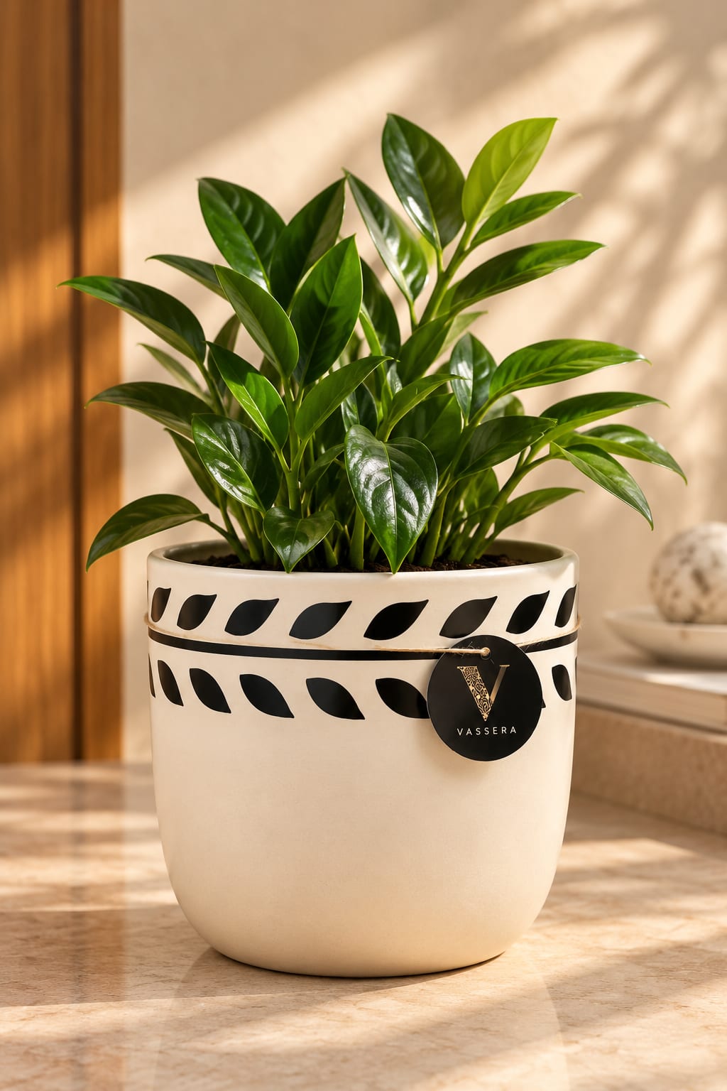 Ivory Leaf Border Ceramic Planter Trio