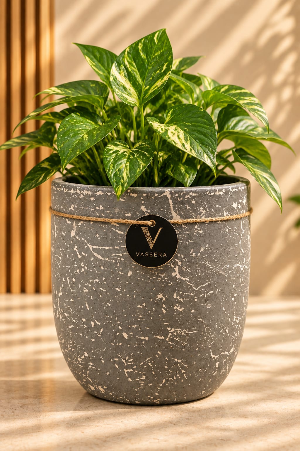 Stone Mist Distressed Ceramic Planter