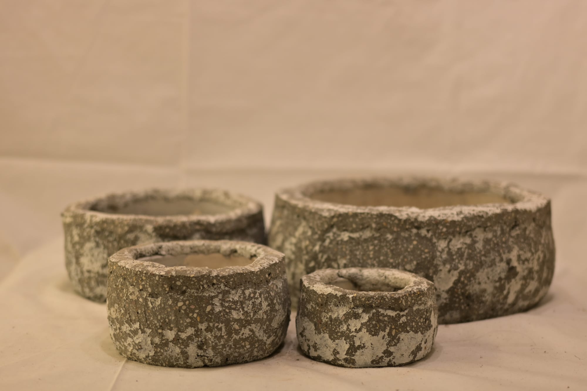 Fossil Earth Rustic Planter Collection